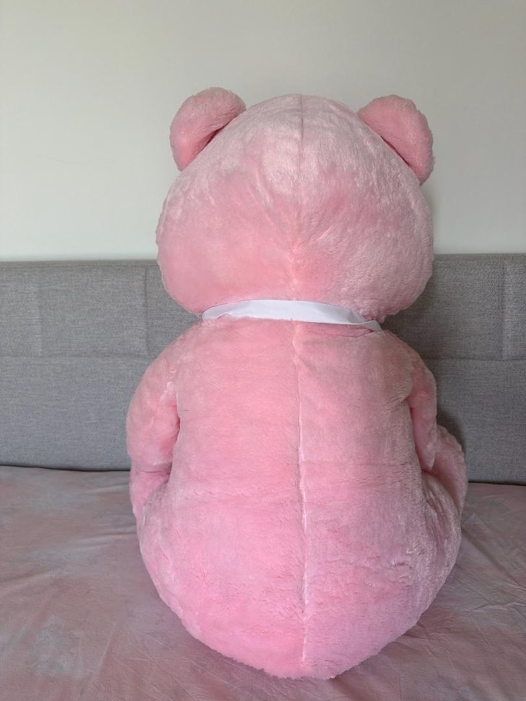 pembe Peluş ayıcık - 3
