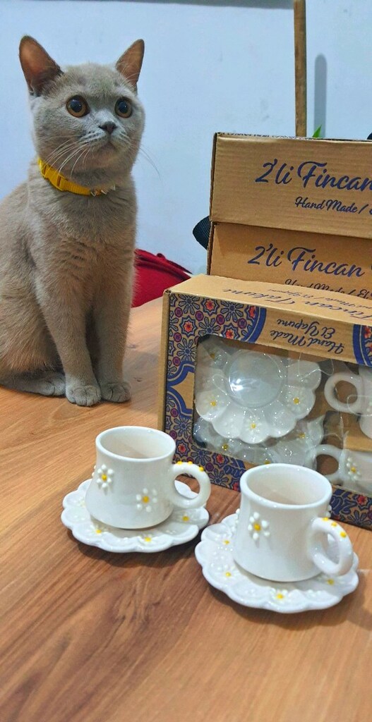 2 Lİ FİNCAN TAKIMI - 3