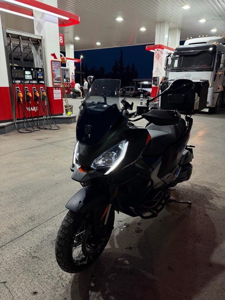 Tertemiz Cadde Boğası Satılık - 11