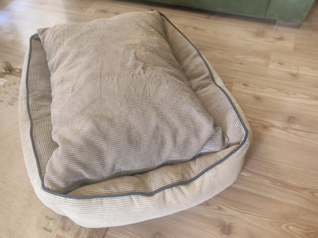 köpek yatağı