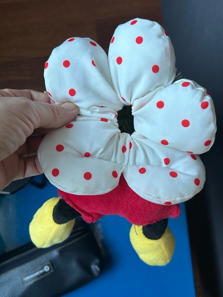 Mickey Mouse oyuncak - 5