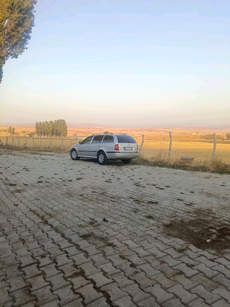 2004 model Skoda Octavia steysin vagon - 2