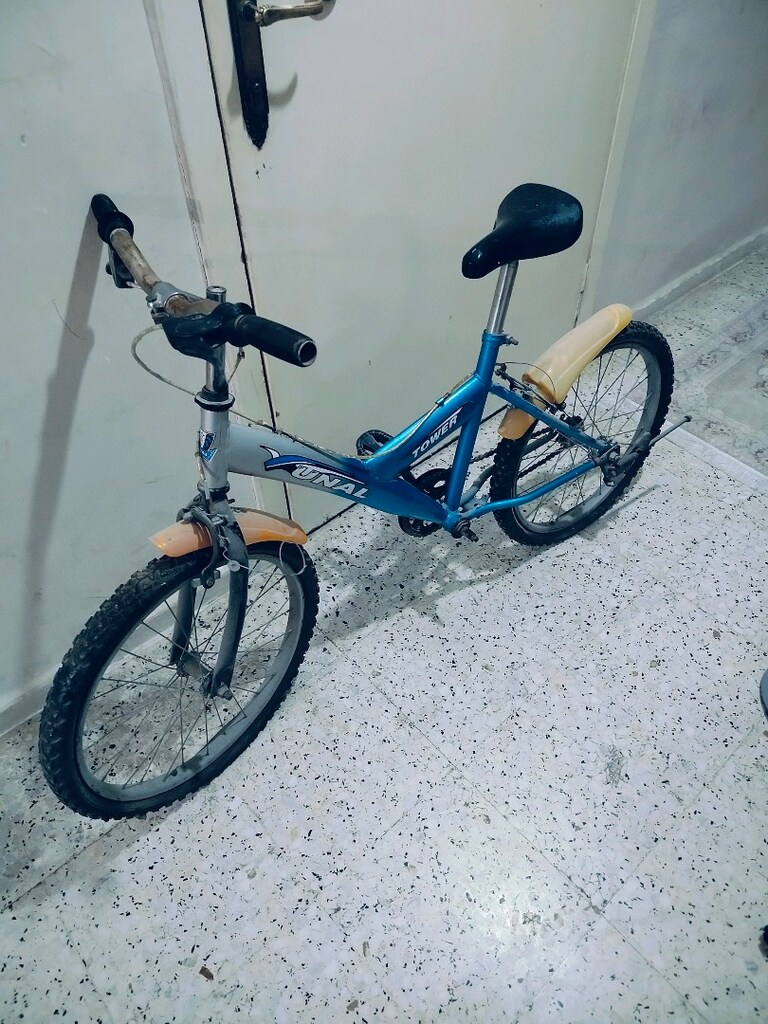 Çocuk Bisikleti - 2