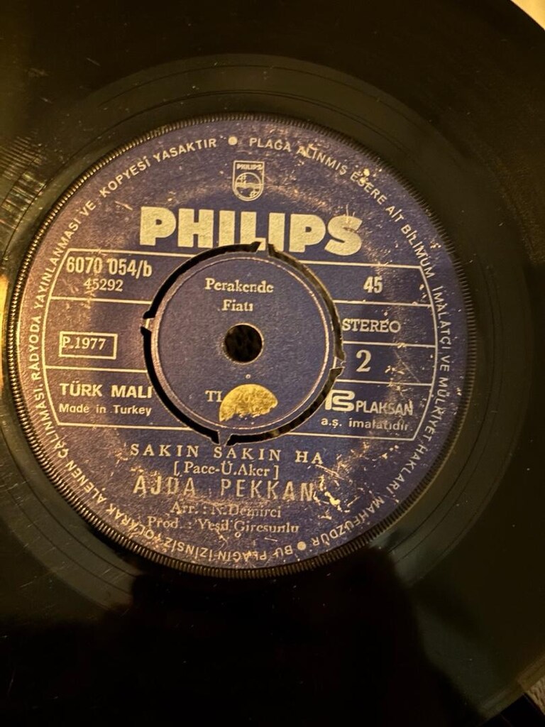 ajda pekkan 33lükleri - 4