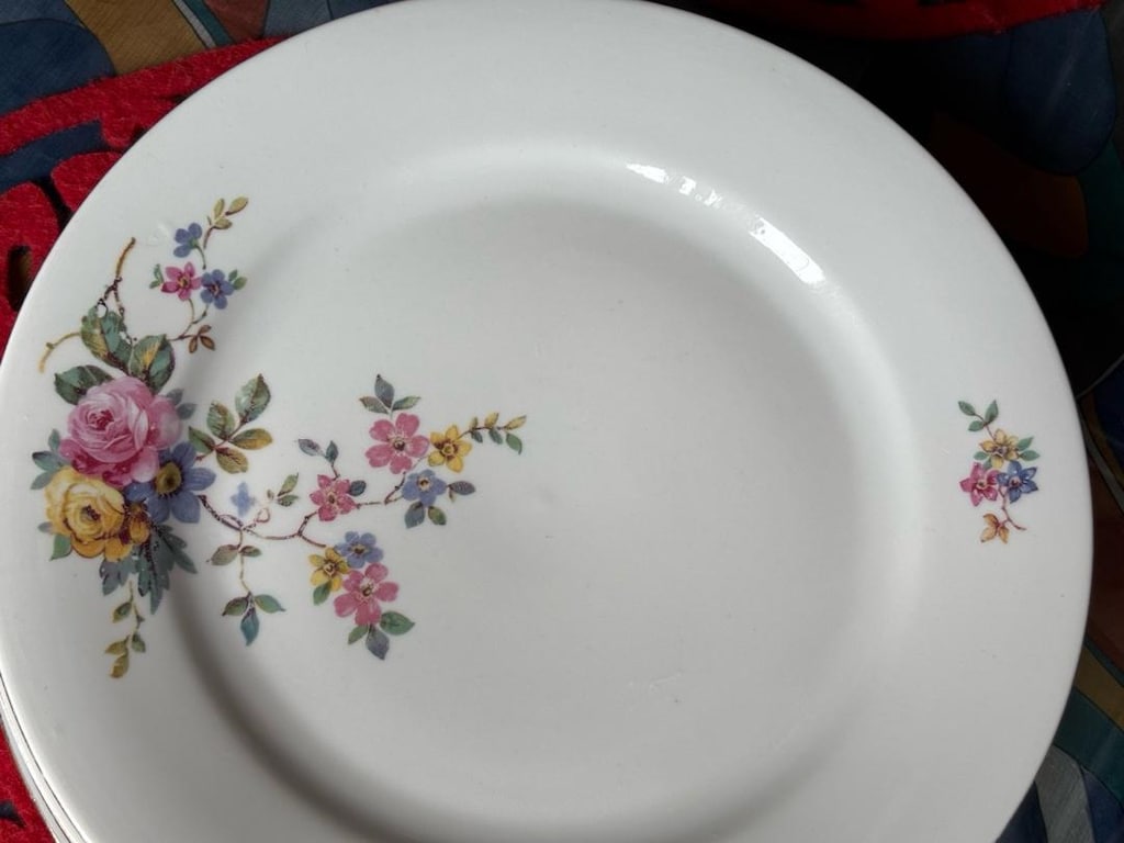 Alman Kahla Marka 6 tane yemek tabağı - 4