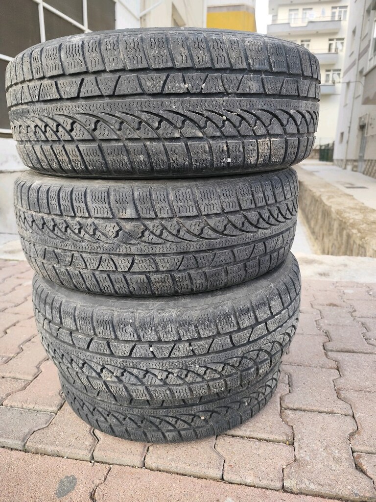 Petlas kışlık lastik - 3