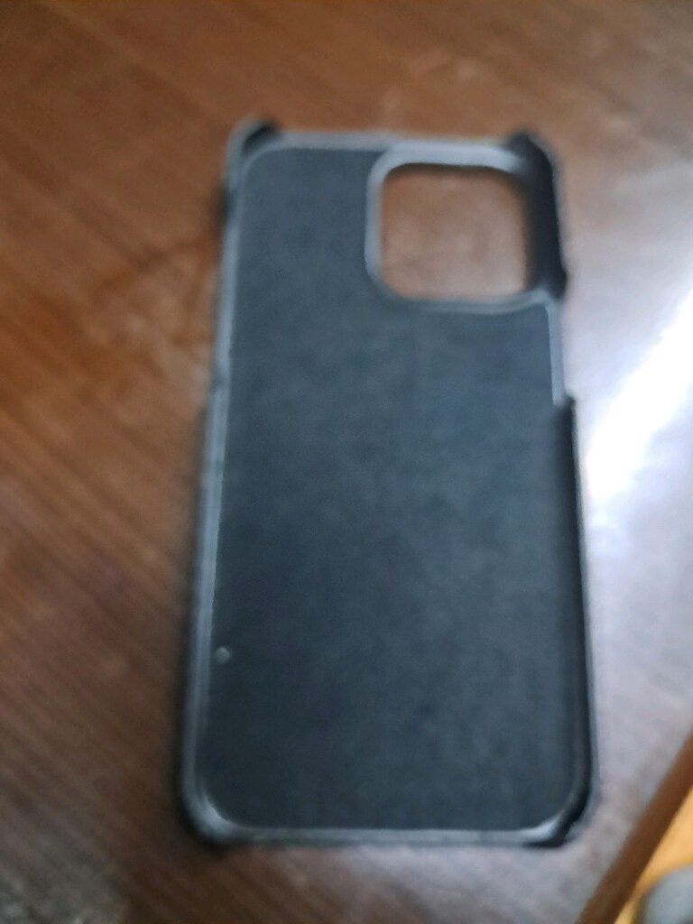 iPhone 16 Yılan Derisi kılıf - 7