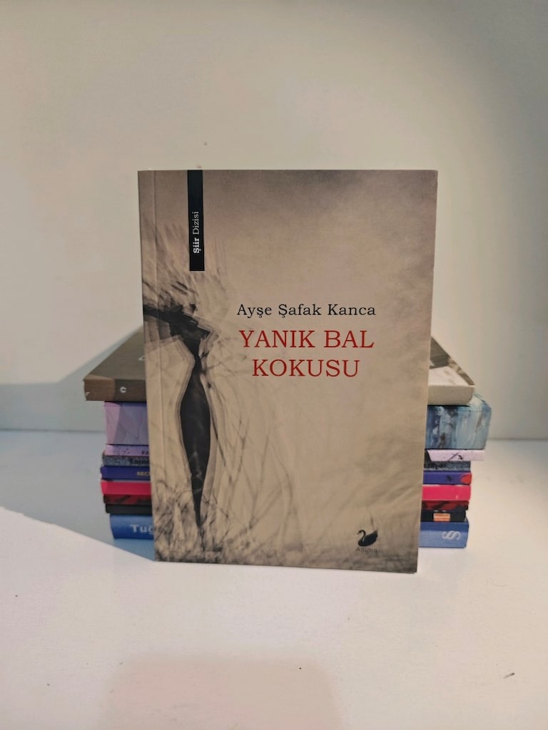 10 adet karışık yazarlardan şiir kitapları - 6
