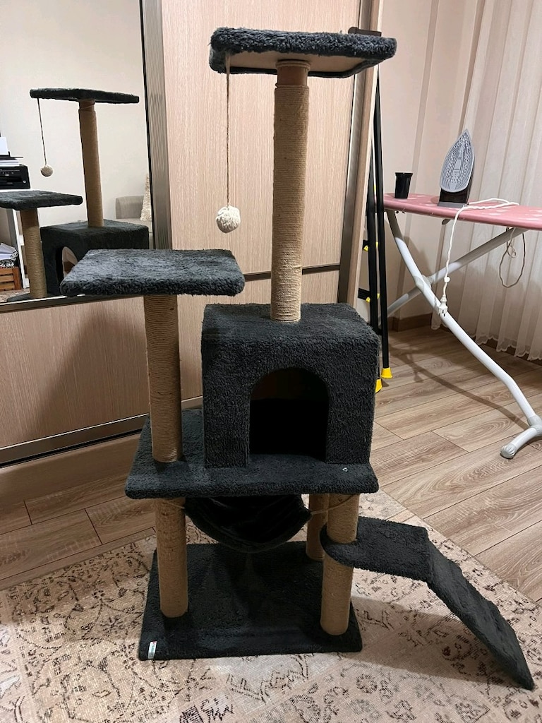 Kedi evi - 7