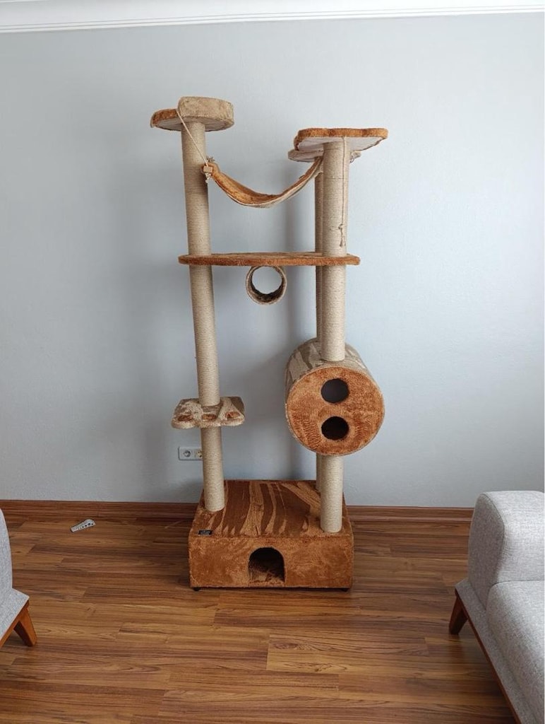 kedi evi - 3