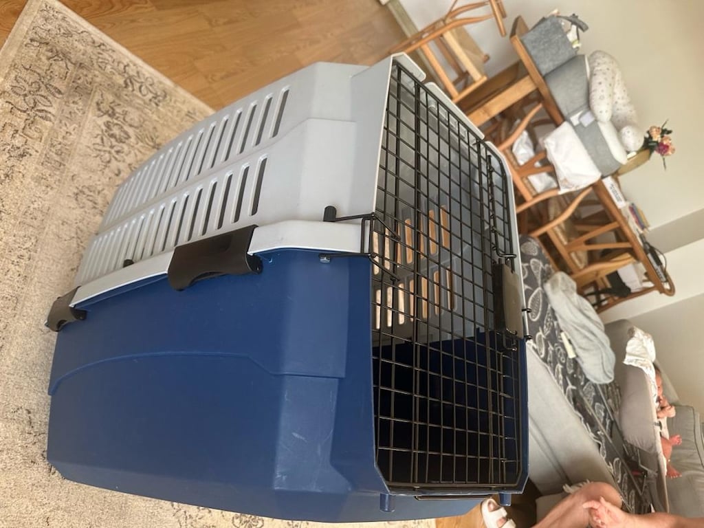 Sıfır Ayarında Köpek/Kedi Taşıma Boxı - Hiç Kullanılmadı