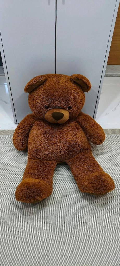 Pelüş Oyuncak Ayı - 2