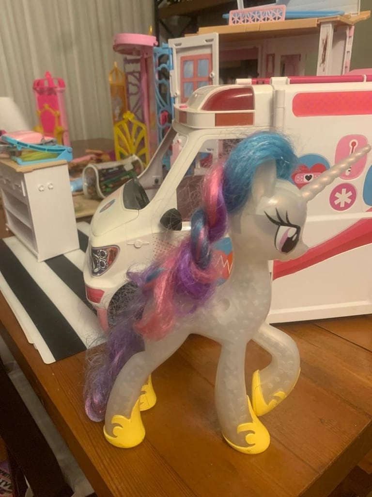 Pony Atı - 2