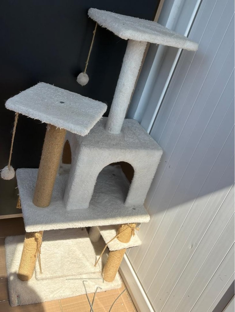 kedi evi