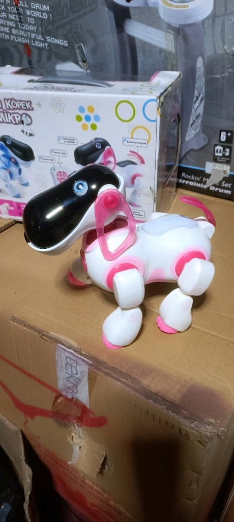 Akıllı Robot Köpek - 10