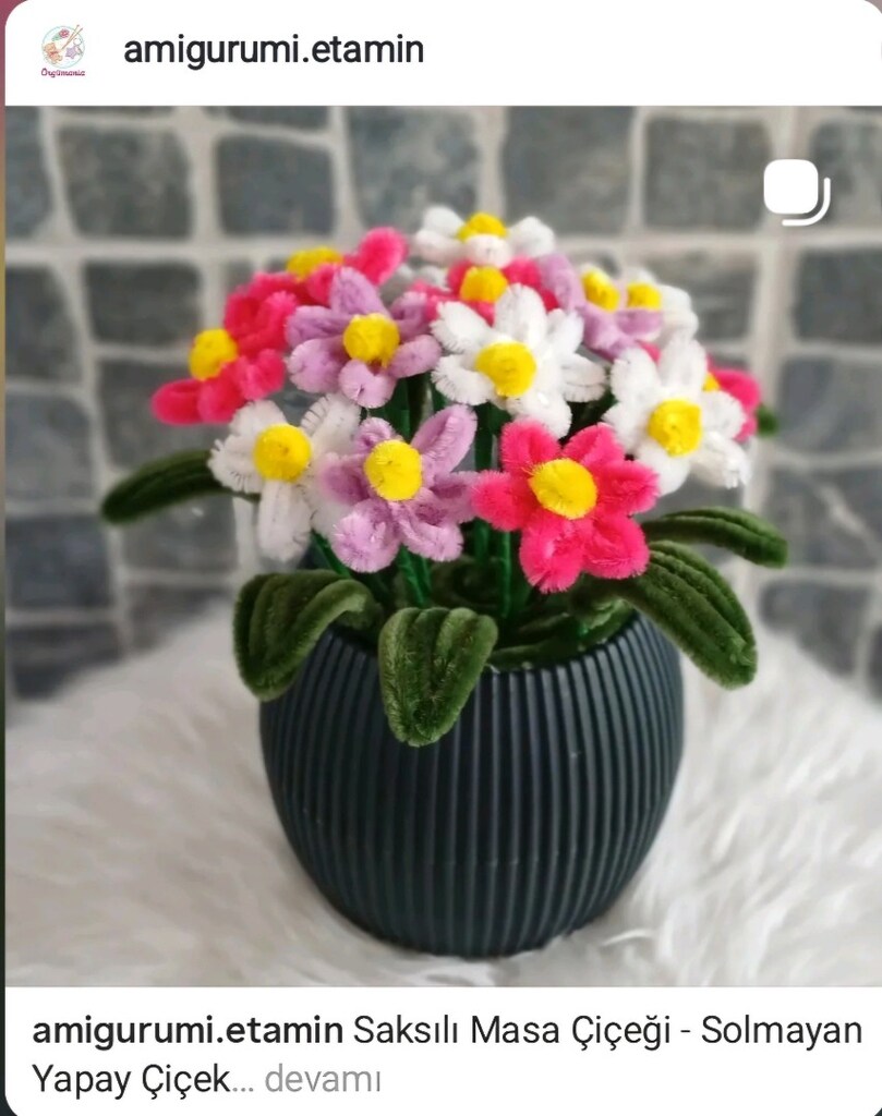 Saksılı Solmayan çiçek - 6
