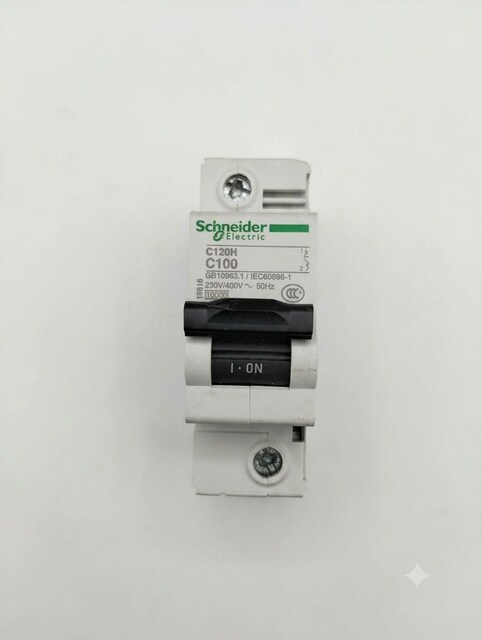 Schneider Electric C120H 100A (C100) sigorta