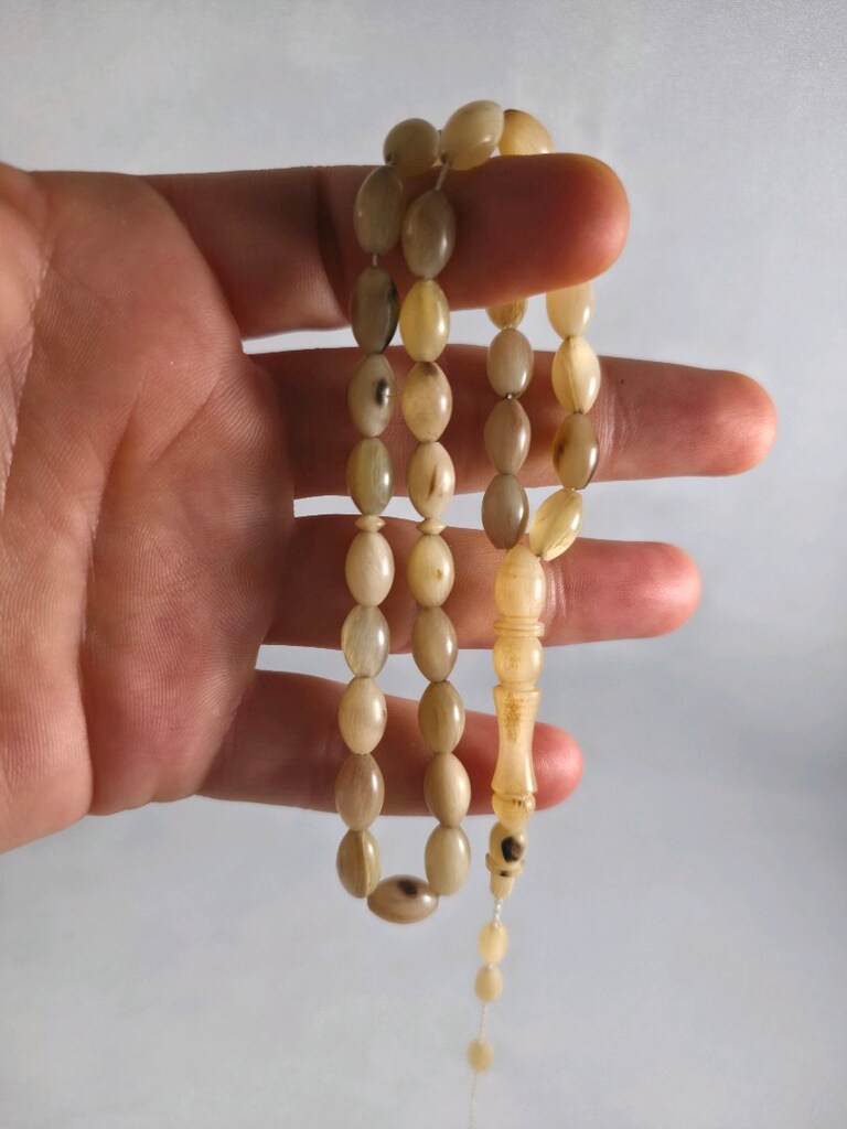 KOÇ BOYNUZU 03 - 4