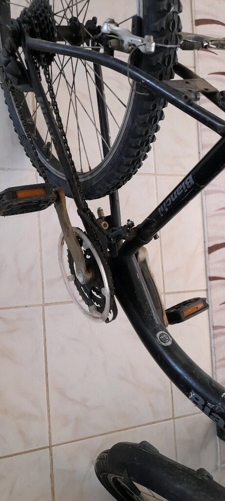 i24 inch kız bisiklet bianchi - 4
