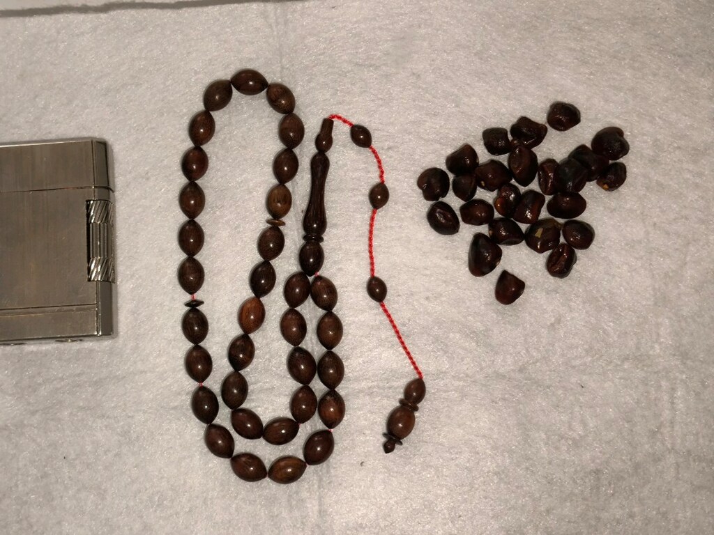 Demirhindi ağacı tesbih - 7