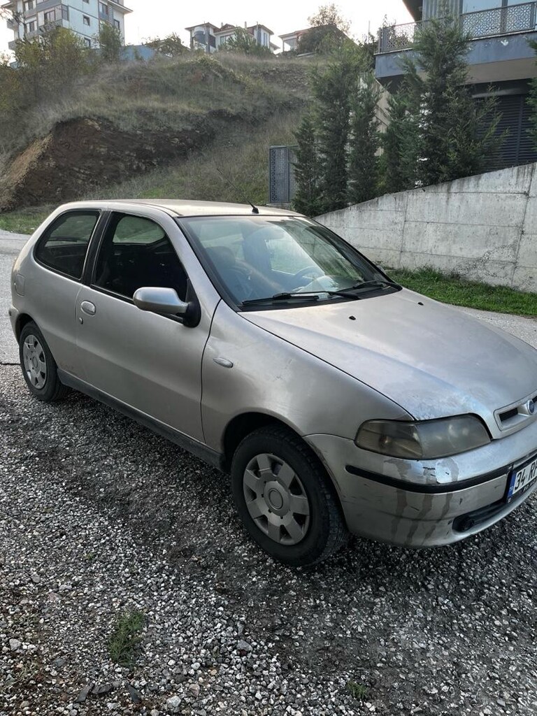 palio - 4