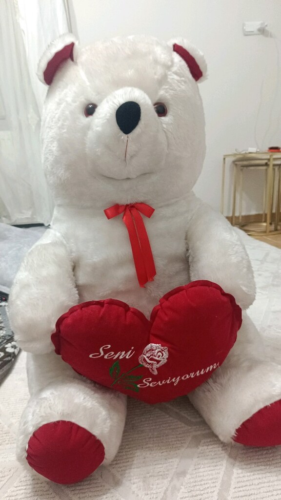 peluş ayıcık - 2