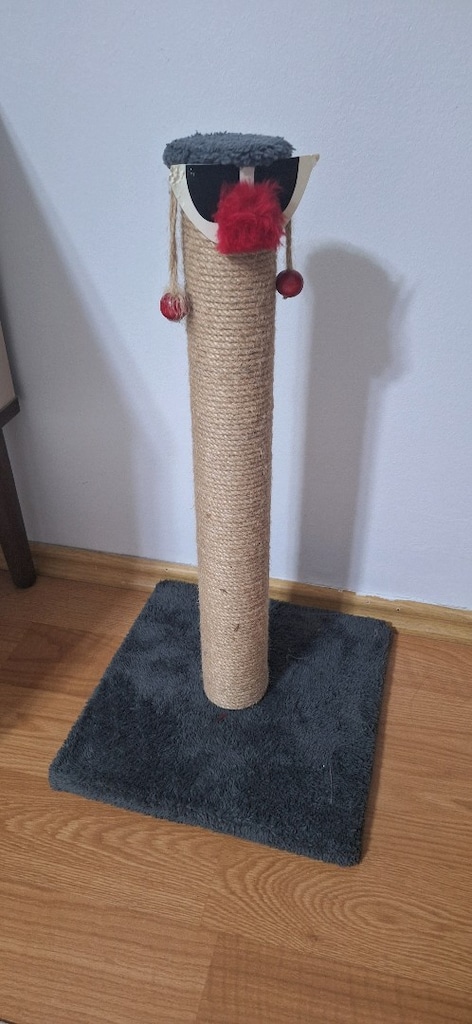 kedi tırmalama - 2