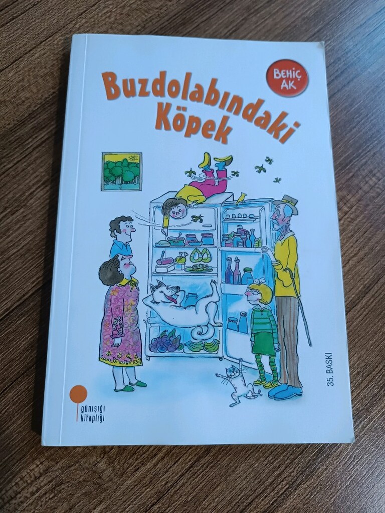 Behiç Ak ve Samed Behrengi Kitaplari - 4