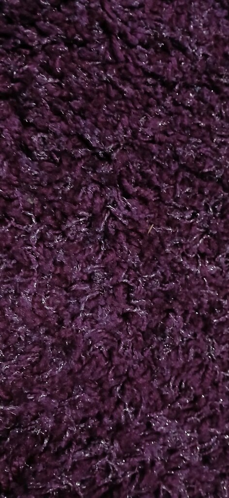 şagi yolluk - 2