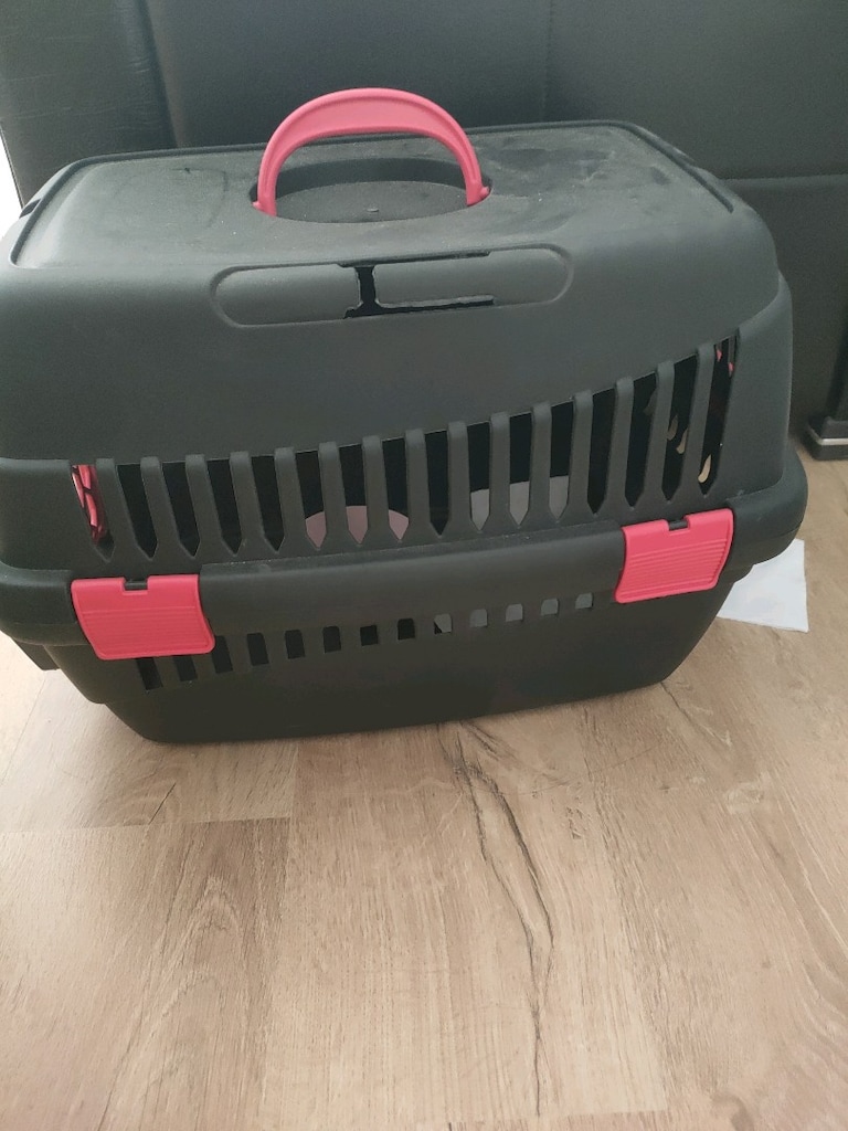 kedi taşıma kutusu - 2