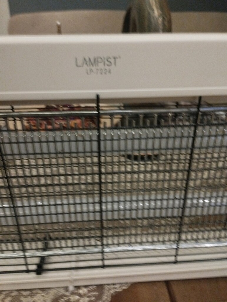 LAMPİST 2×30 Watt sinek öldürme cihazı cıızzLP7224 - 9