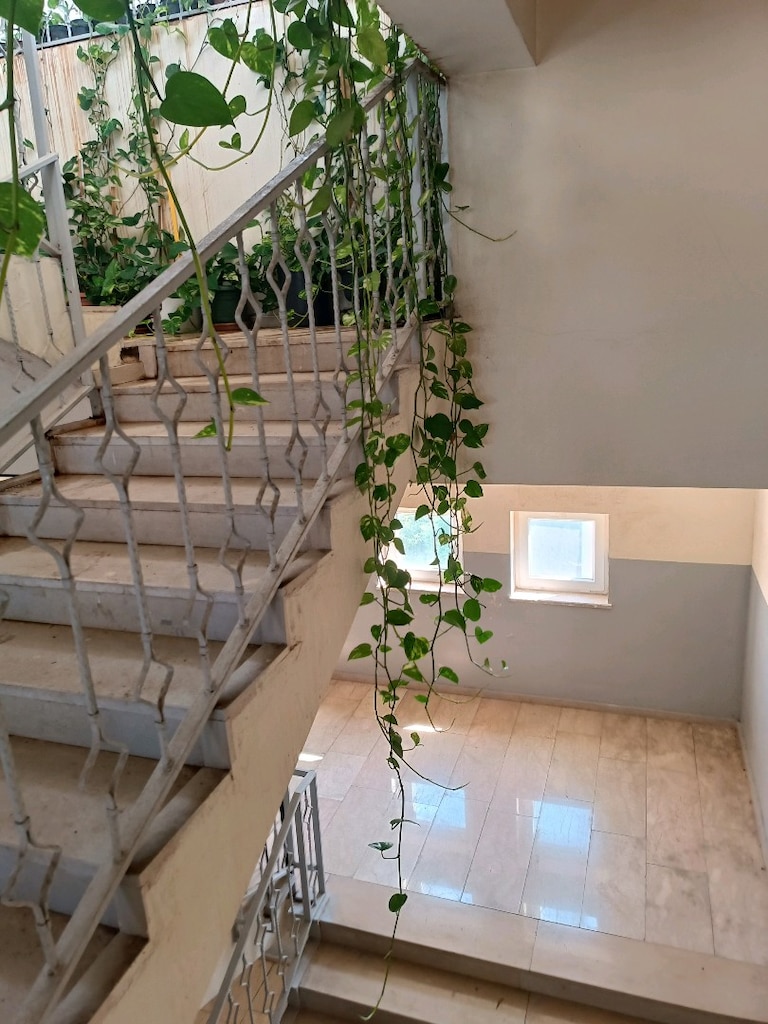 8-10metre boyunda sarmaşıklar - 2