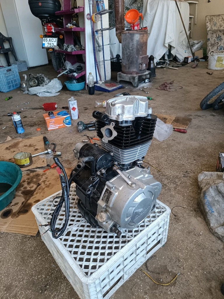 alt motor
