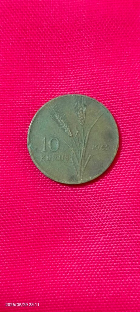 koleksiyon - 14