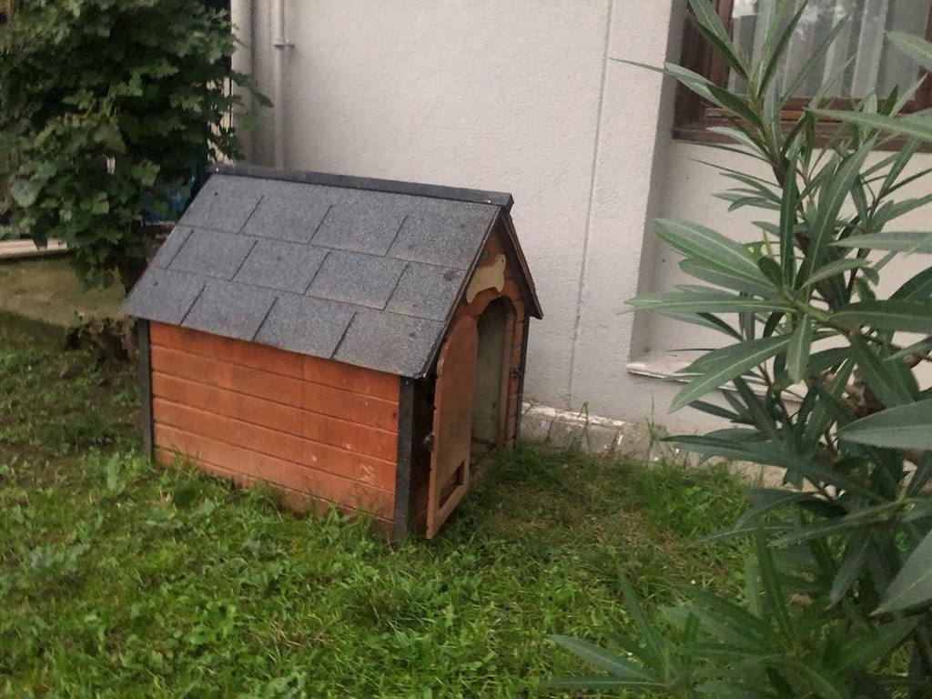 Köpek kulubesi - 2