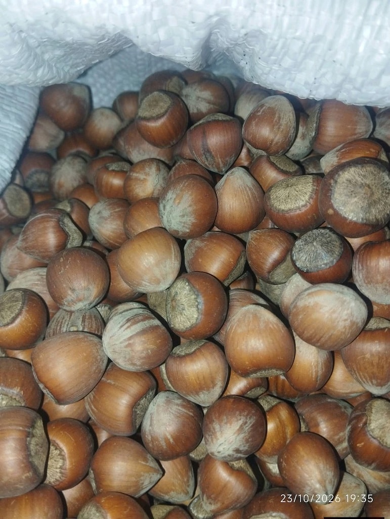 fındık kargo gönderim - 2