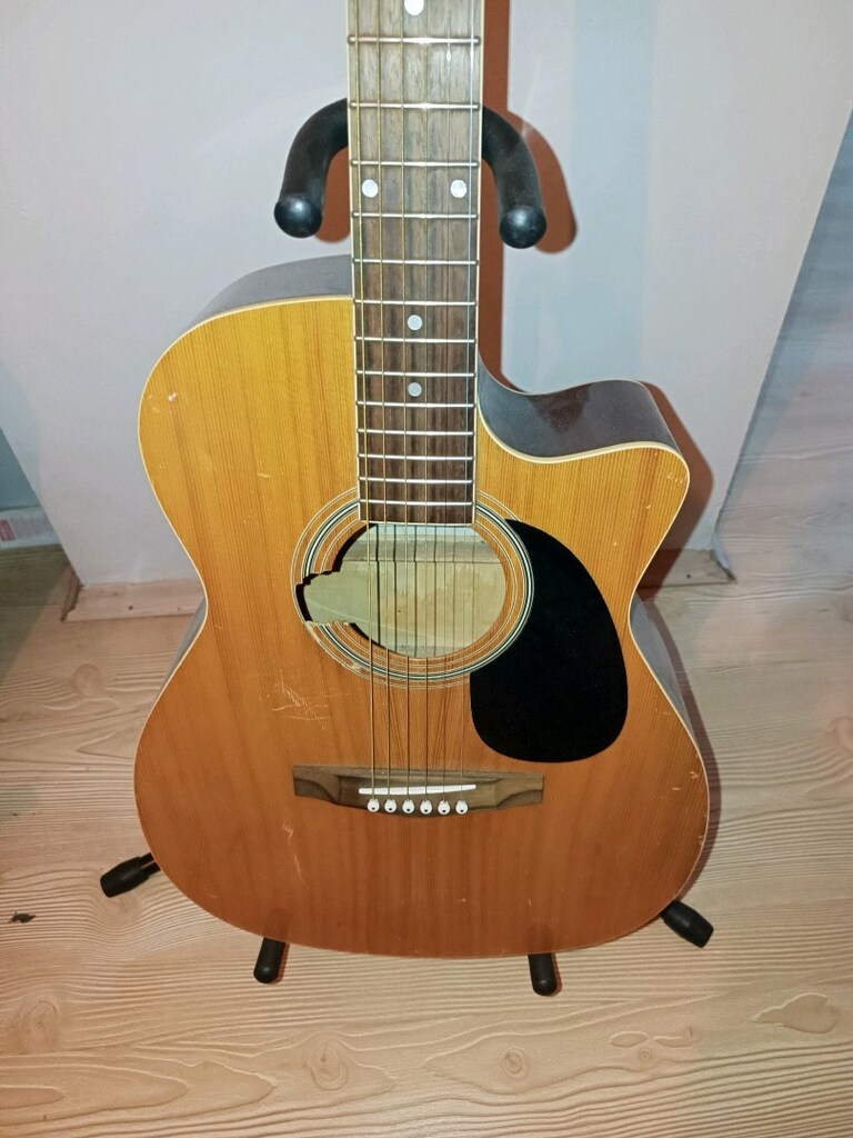Eagle Akustik gitar - 6