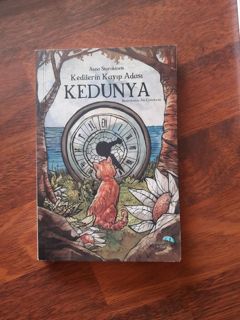 10 adet çocuk kitabı - 3