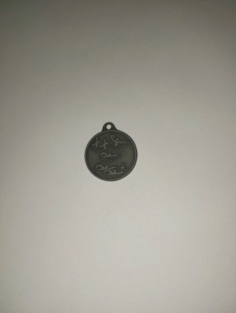 slovakya yüzme federasyonu madalya - 2