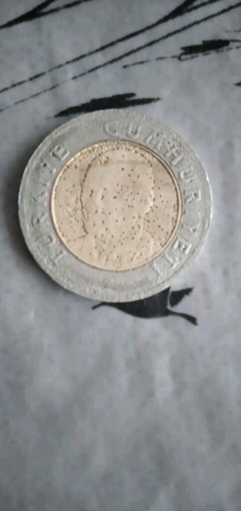 antika 1 lira para koleksiyonluk - 2