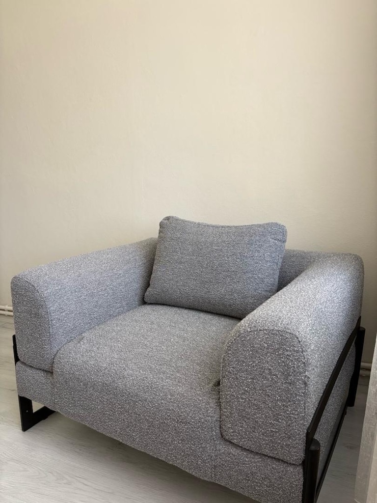 Gri Modern Berjer Koltuk – Şık Tasarım - 2