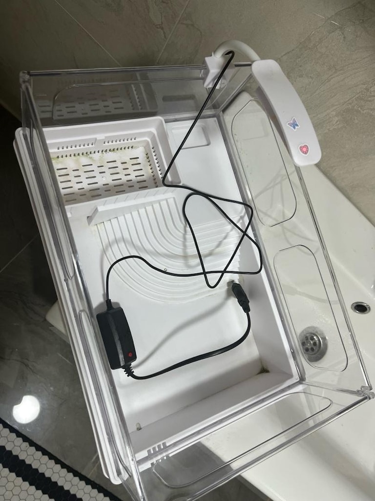 ışıklı kaplumbağa yuvası - 4