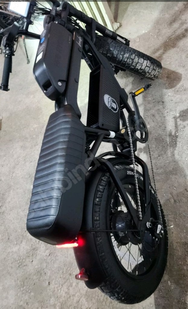 APE Ryder Bonobo (yurt dışı/off-road 750W versiyon Hidrolik disk fren - 6