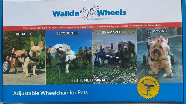 Walkin’ Wheel Köpek Yürüteci