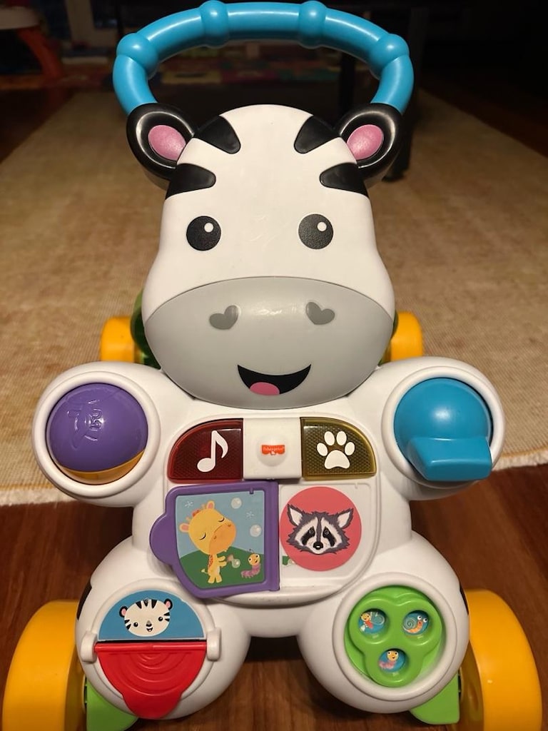 fisher price yürüme arkadaşı - 2