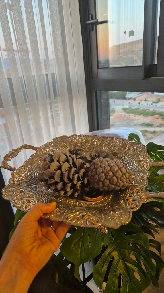 Gümüş gondol ayaklı - 3