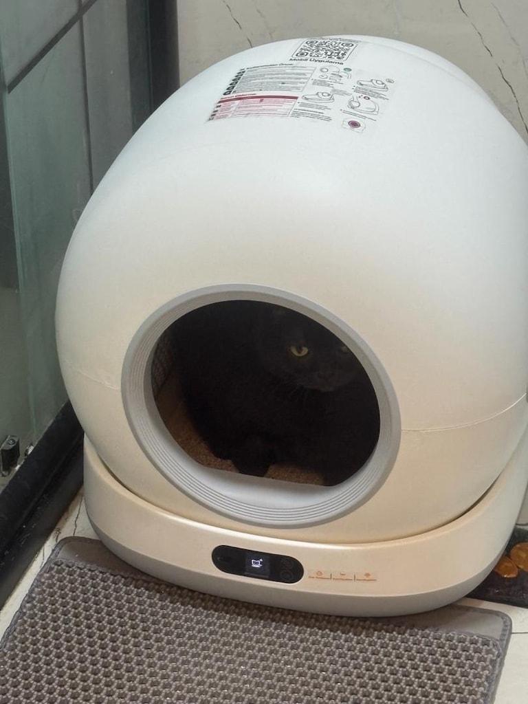 otomatik kedi tuvaleti - 2