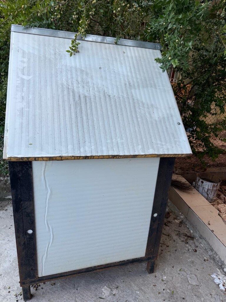 yüksek köpek kulübesi - 2