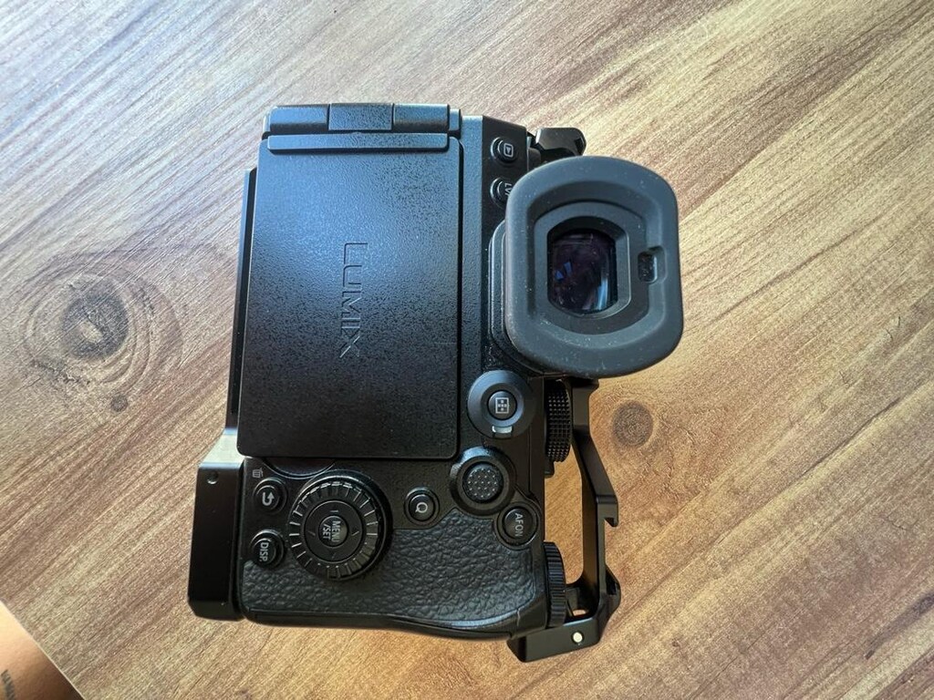 Panasonic Lumix S5IIX + Lumix S 50mm f/1.8 + SmallRig Cage - 3