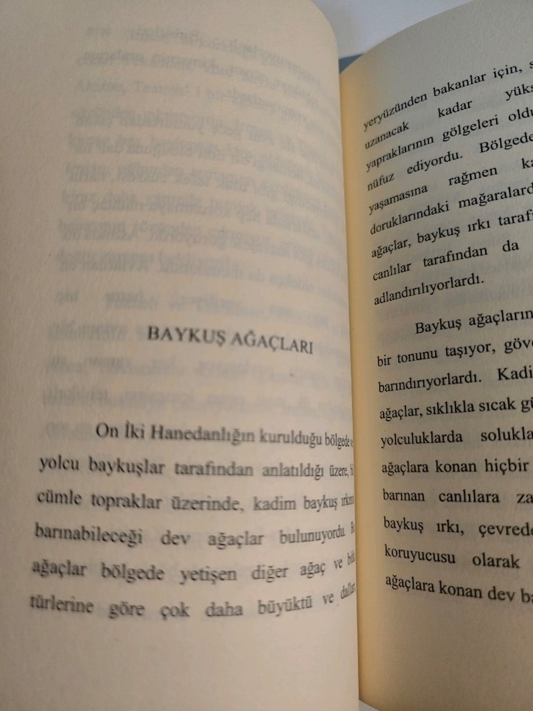 mavi baykuş döndüğünde... Burcu Özen - 5